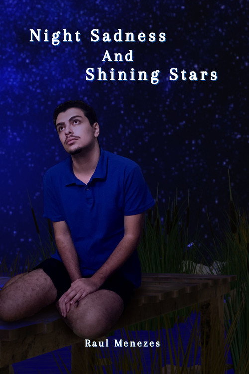 Movie poster for Night Sadness And Shining Stars (2025)