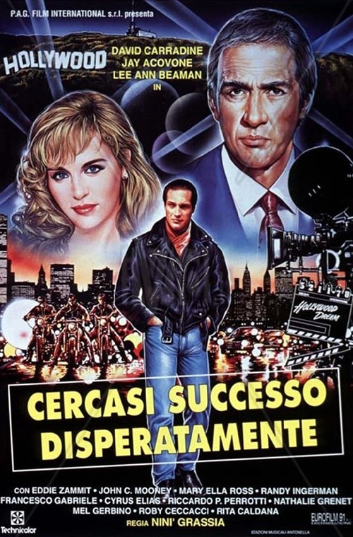 Movie poster for Desperately Looking For Success (1994)