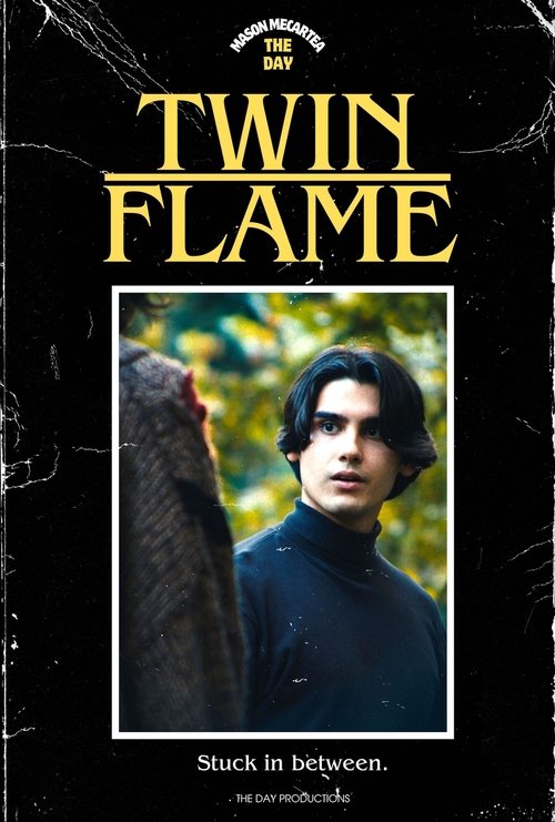 Movie poster for Twin Flame (2024)