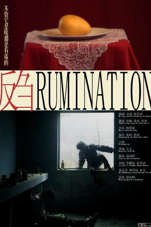 Movie poster for Rumination (2009)