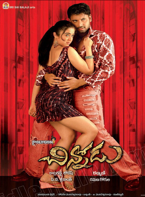Movie poster for Chinnodu (2006)