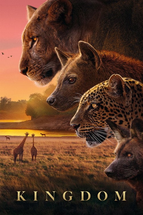 Series poster for Kingdom (2025)