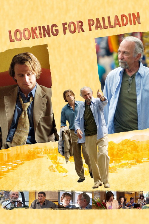 Movie poster for Looking for Palladin (2008)
