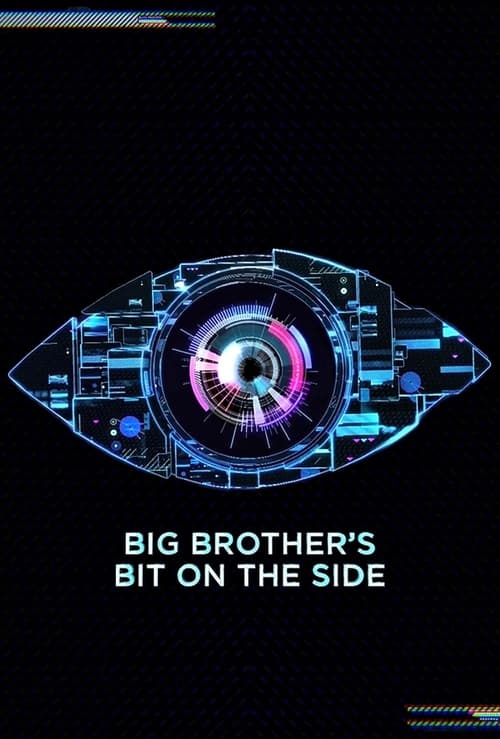 Series poster for Big Brother's Bit on the Side (2011)