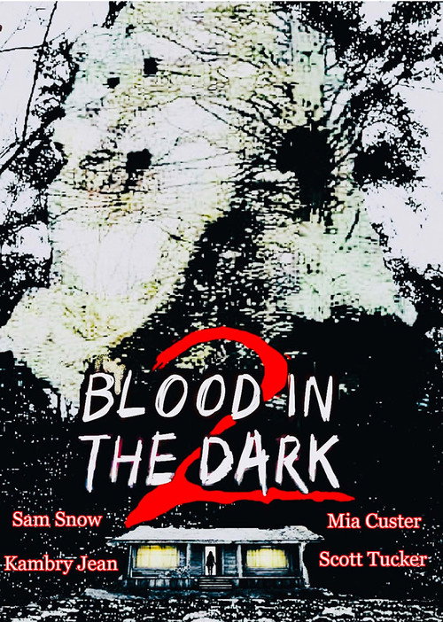 Movie poster for Blood in the Dark 2 (2022)