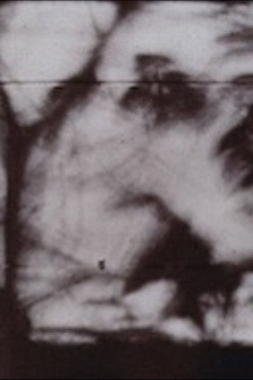 Movie poster for FURYU (1970)