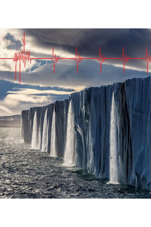 Movie poster for Pearl Jam: Gigaton Visual Album Experience (2020)