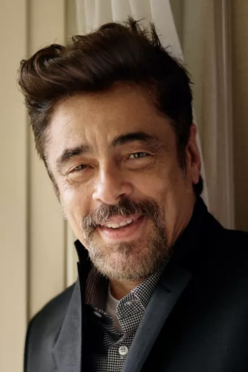 Benicio del Toro profile