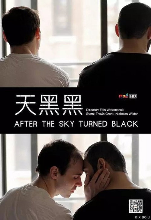 Movie poster for After the Sky Turned Black (2012)