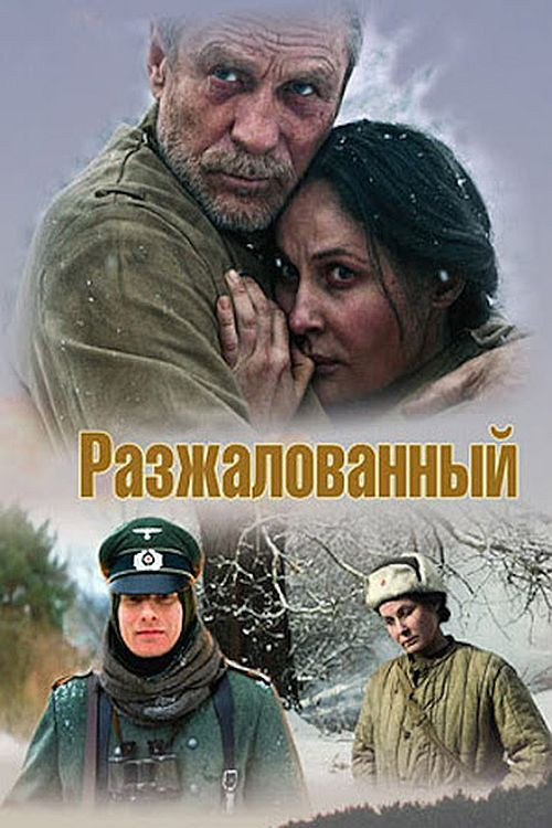 Movie poster for Degraded Officer (2009)
