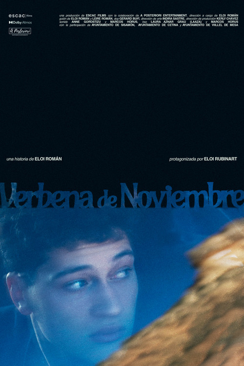 Movie poster for Verbena de noviembre (2025)