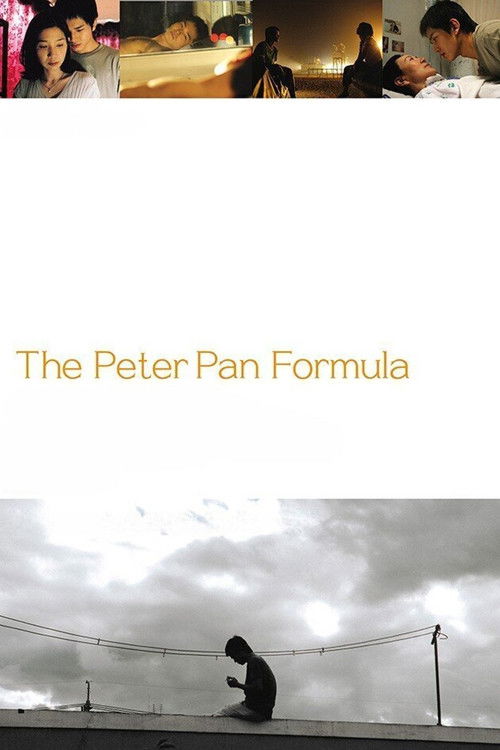 Movie poster for The Peter Pan Formula (2006)