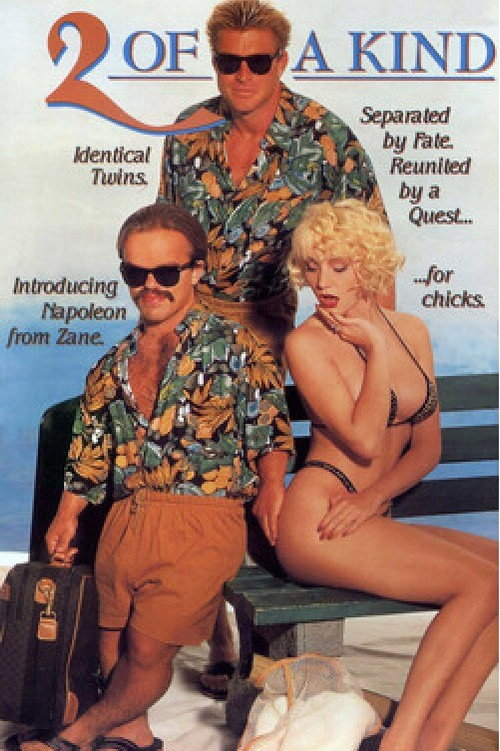 Movie poster for 2 of a Kind (1991)