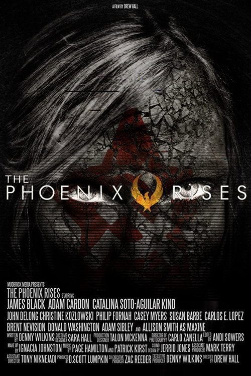Movie poster for The Phoenix Rises (2012)