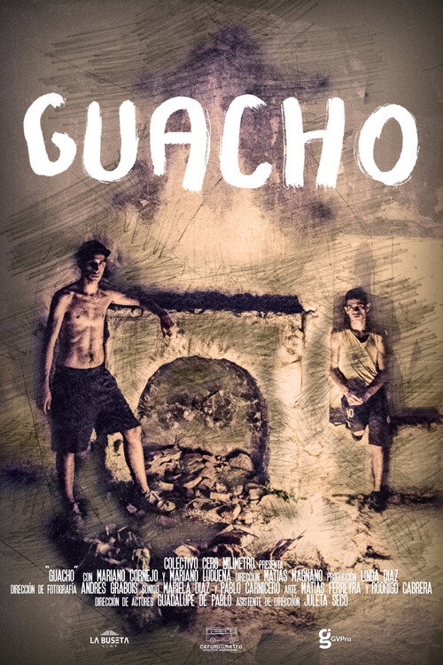 Movie poster for Guacho (2018)
