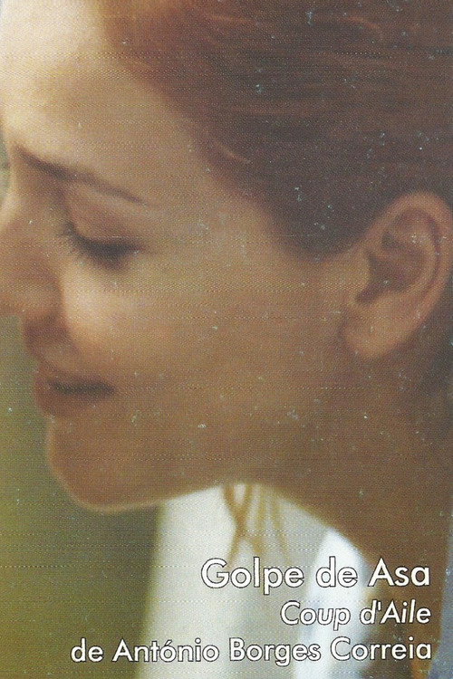 Movie poster for Golpe de Asa (1999)