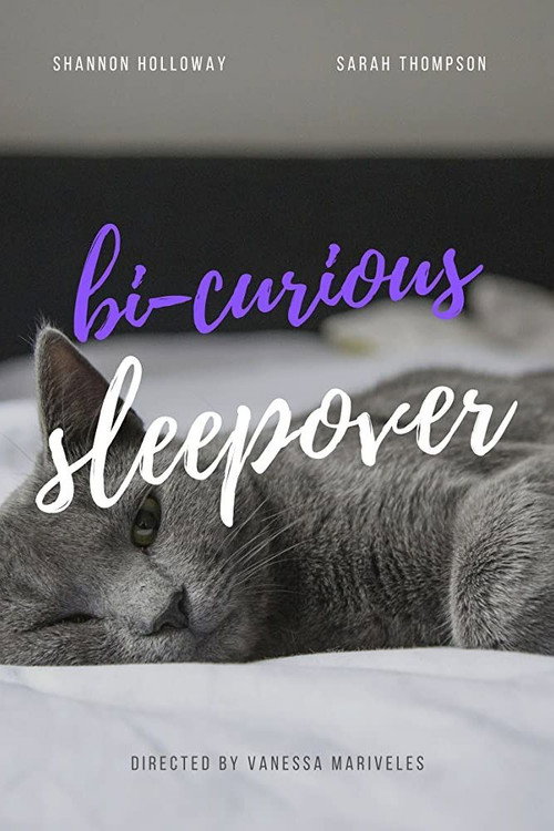 Movie poster for Bi-curious Sleepover (2019)