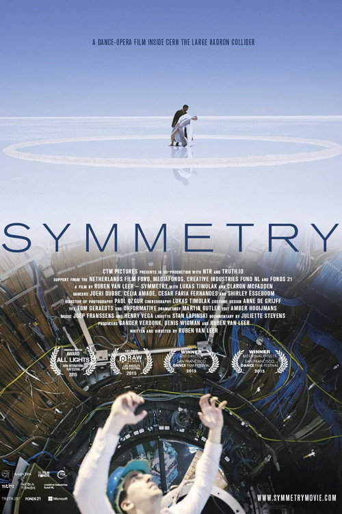 Movie poster for Symmetry (2015)