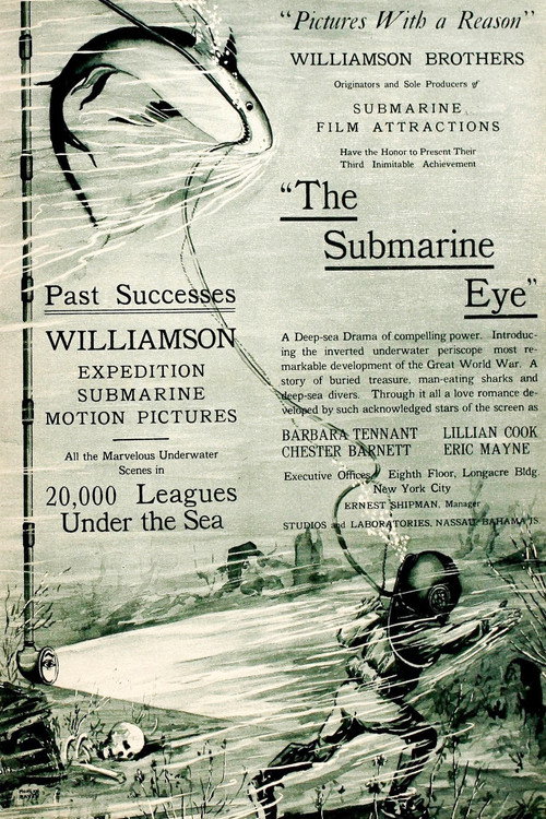 Movie poster for The Submarine Eye (1917)
