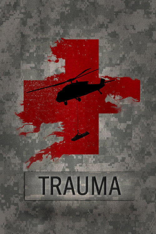 Movie poster for Trauma (2018)