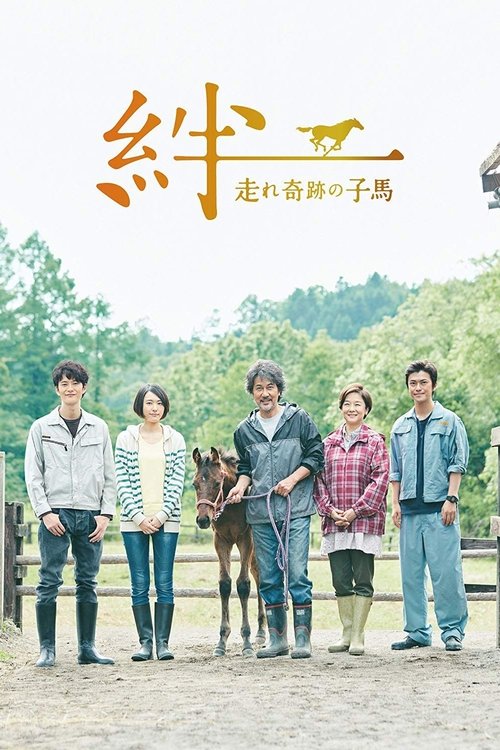 Ties: A Miraculous Colt poster