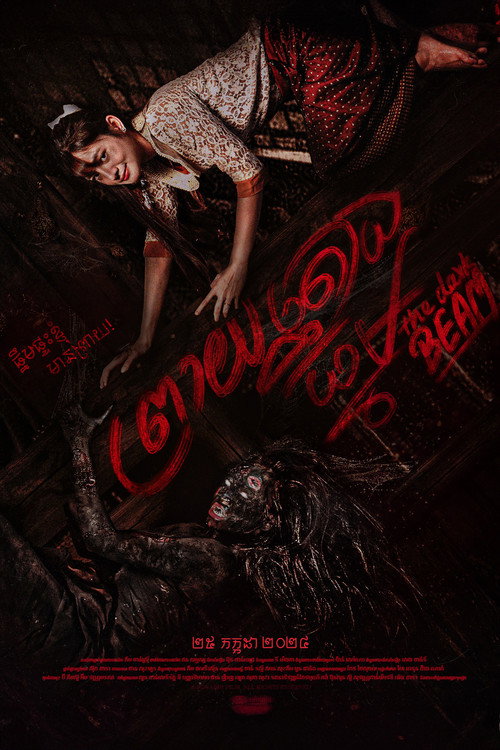 Movie poster for The Dark Beam (2024)