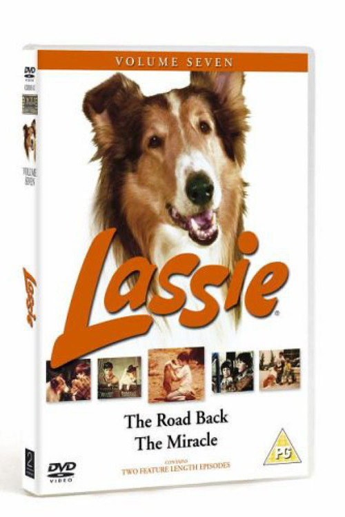 Movie poster for Lassie - The Road Back (1970)