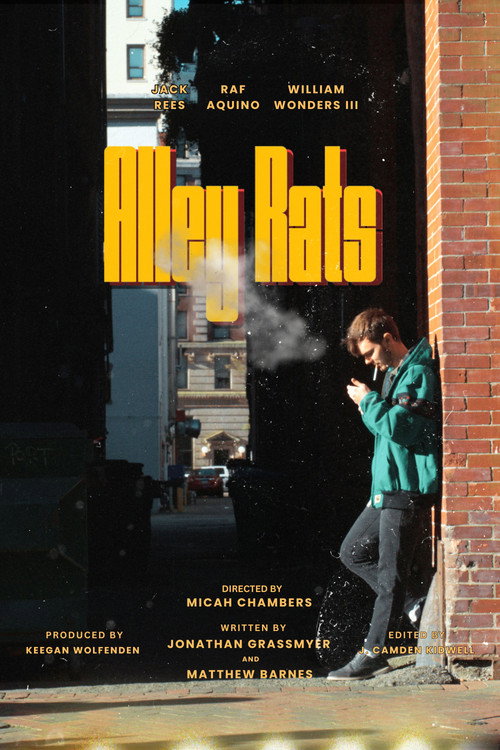 Movie poster for Alley Rats