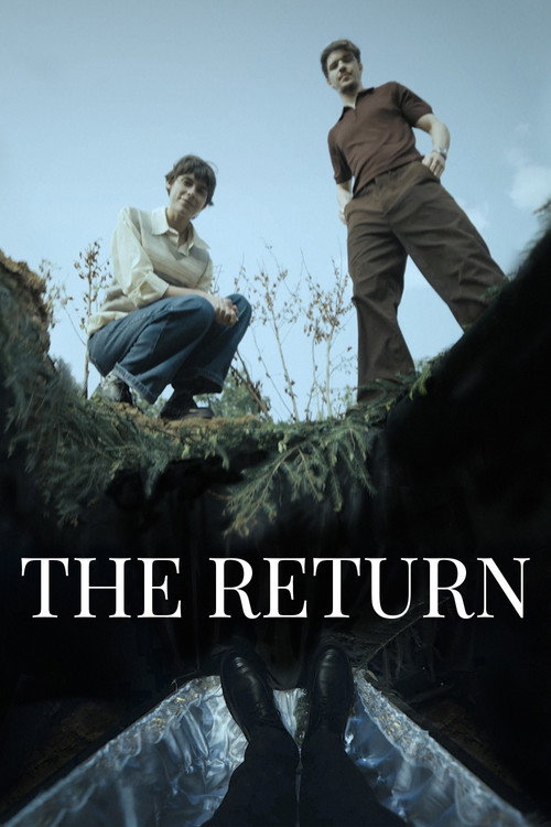 Movie poster for The Return