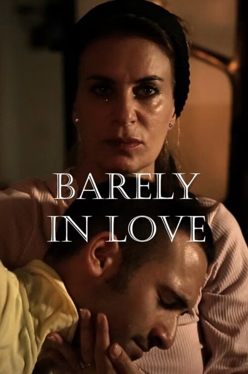 Movie poster for Barely in Love (2013)