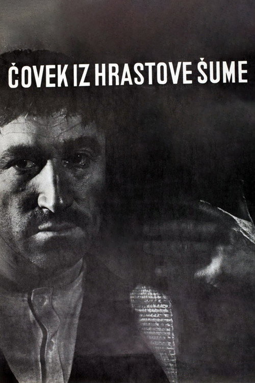 Movie poster for The Man from the Oak Forest (1964)