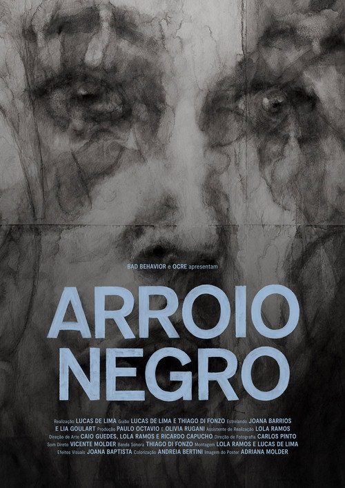 Movie poster for Arroio Negro