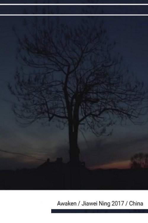 Movie poster for Awaken (2017)