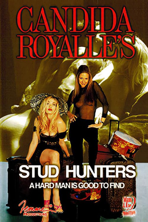 Movie poster for Stud Hunters (2003)