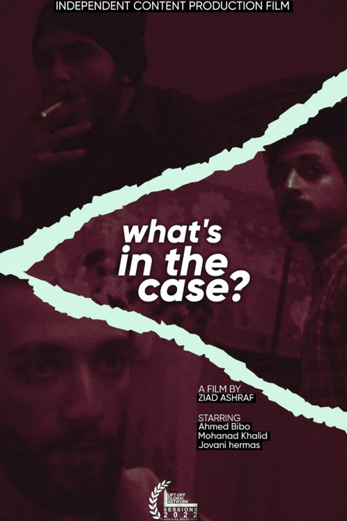 Movie poster for WHAT'S IN THE CASE? (2022)