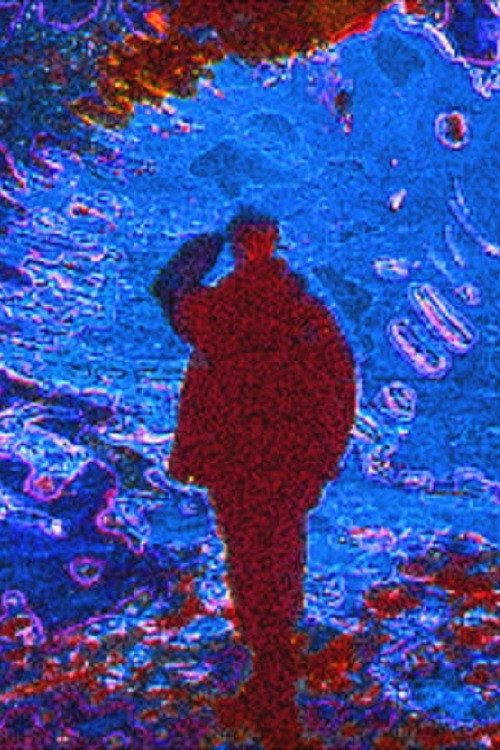 Movie poster for Brownsnow (1994)