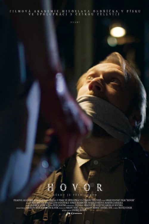 Movie poster for The Call (2020)