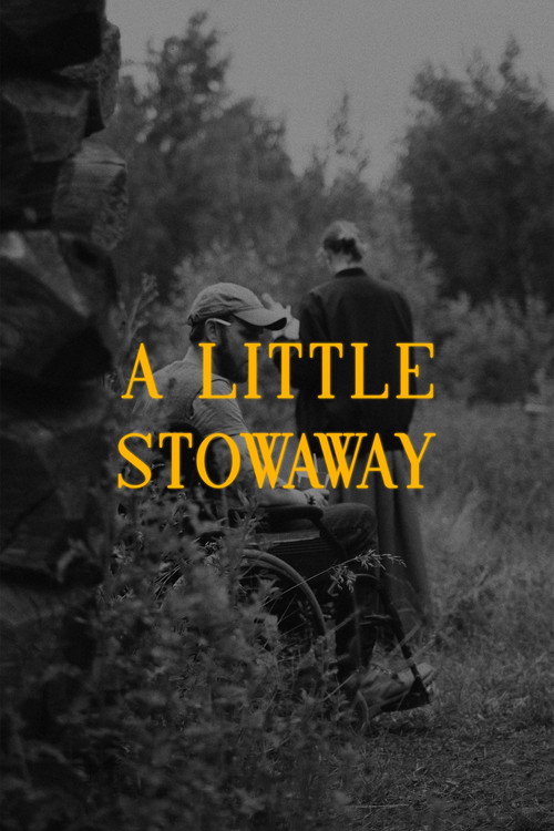 Movie poster for A Little Stowaway (2022)