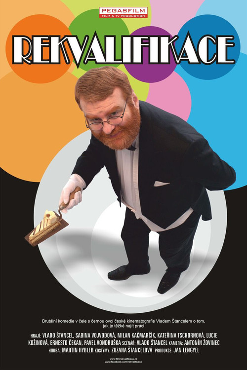 Movie poster for Rekvalifikace (2011)