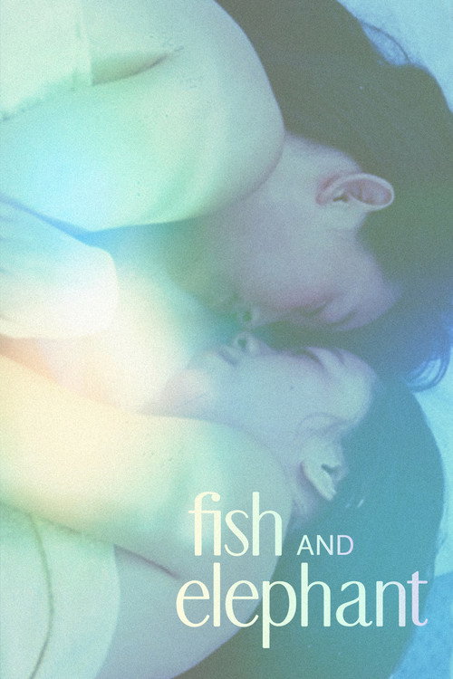 Movie poster for Fish and Elephant (2001)