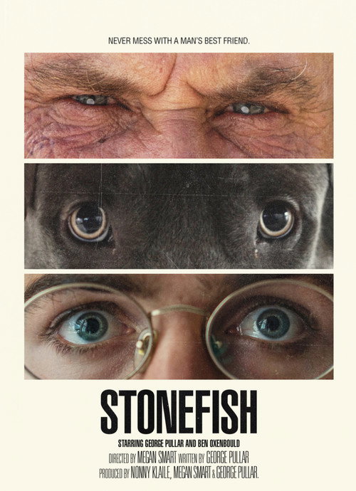 Movie poster for Stonefish (2022)