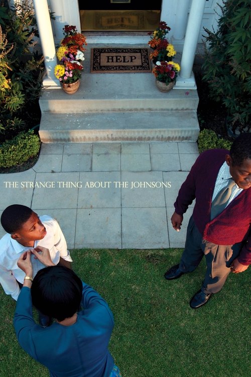 Movie poster for The Strange Thing About the Johnsons (2011)