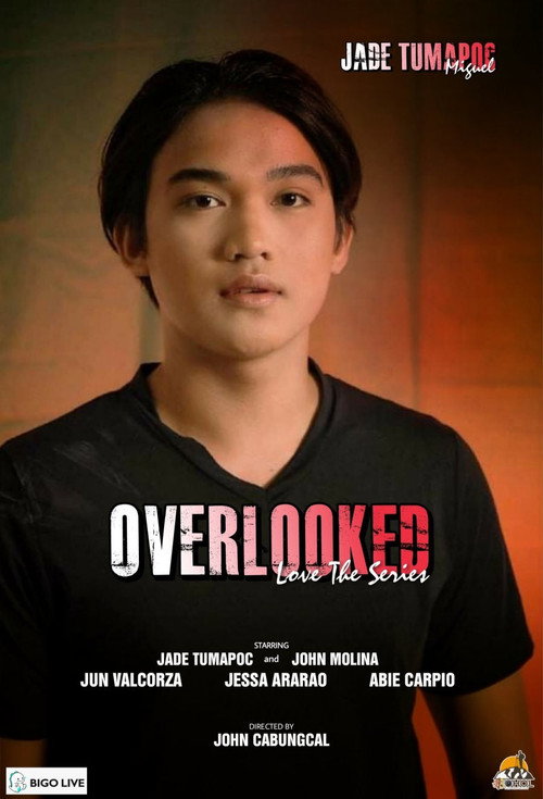 Series poster for Overlooked Love the Series (2021)