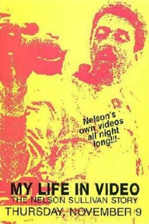 Movie poster for Nelson Sullivan's Video Diaries (1989)