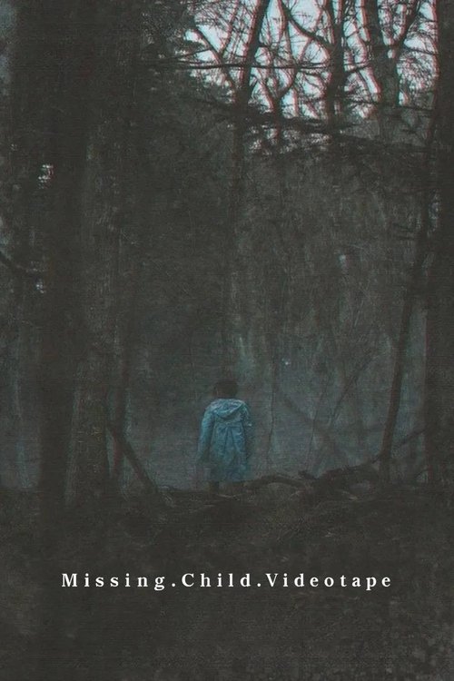 Movie poster for Missing Child Videotape (2025)