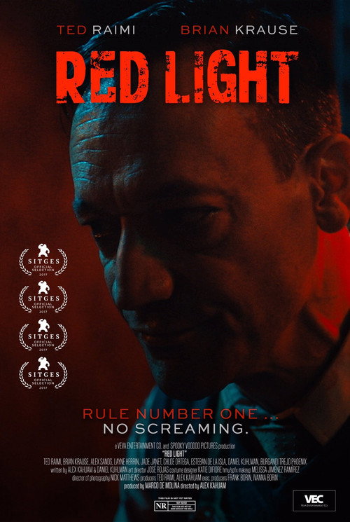 Movie poster for Red Light (2020)