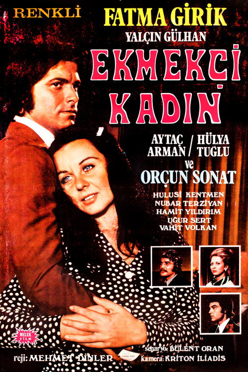 Movie poster for Ekmekçi Kadın (1972)