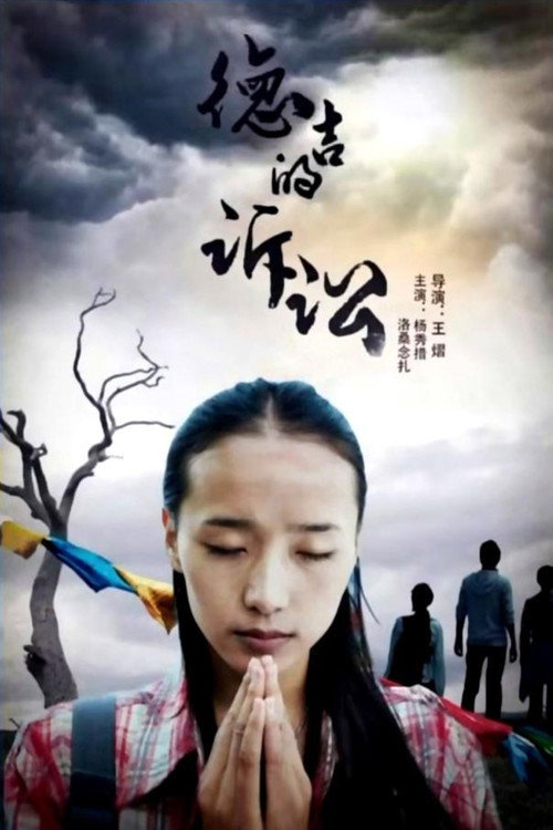 Movie poster for 德吉的诉讼 (2013)