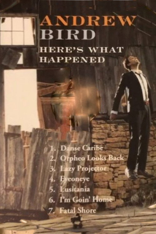 Movie poster for Andrew Bird: Here's What Happened (2012)