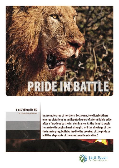 Movie poster for Pride in Battle (2010)